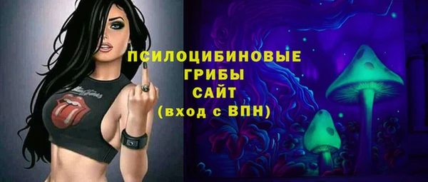 apvp Алзамай