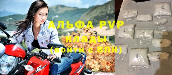 apvp Алзамай