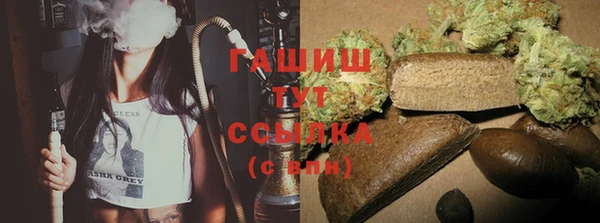 apvp Алзамай