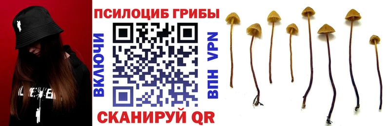 Псилоцибиновые грибы мухоморы  Мирный 